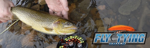 Hadia Gwaii Cuthroat Fly Fishing Hadia Gwaii BC